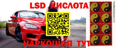spice Аргун