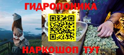 spice Аргун