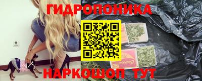spice Аргун